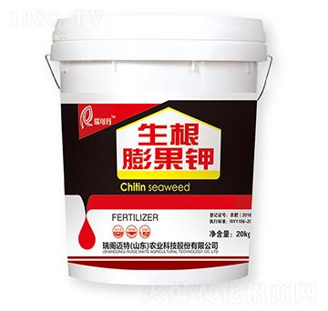 ��������-��ɵ�-���w�~��