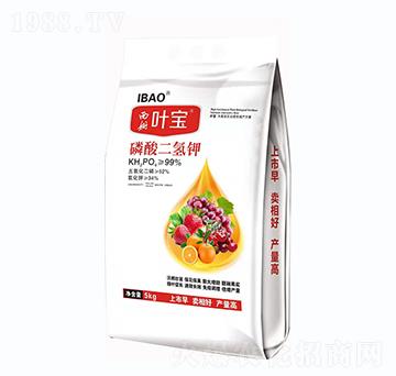 ��������-���~ֲ��