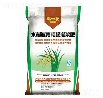 ˮ�������边��{��-���׻�-�|������