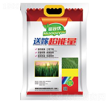 ��ȃ�(y��u)�ͼ޳�����-�|������