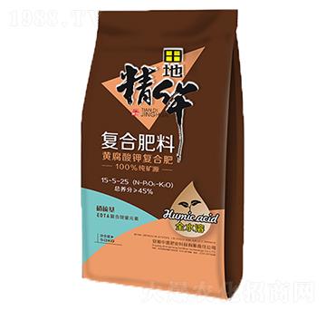 �S����⛏ͺϷ�15-5