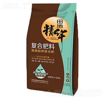 �S����⛏ͺϷ�18-6