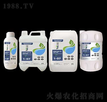 植物海藻酸鉀-沃格瑞