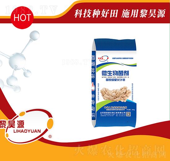 40kg΢�������-��