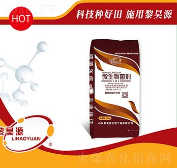 10�|΢�������-���