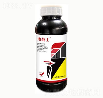 ���١�������-�ؑ�(zh��n)ʿ-��������