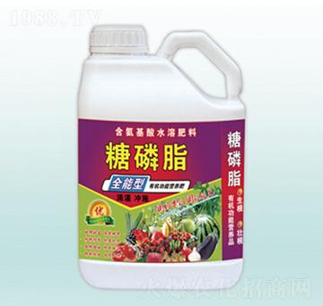 ����֬-��(r��n)�����