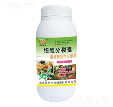 ƿ�b��(x��)��������-��(r��n)���