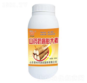 ɽˎ���������-��(r��n)���