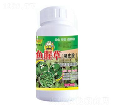 �~(y��)�Ȳݣ��iƤ�ɣ���(zhu��n)�ð�