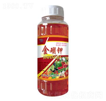 ������~���-��(r��n)�����