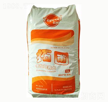 ��픻��@��(zhu��n)��-����-���ȶ�