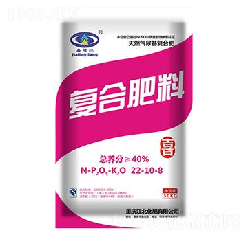 �ͺϷ���22-10-8