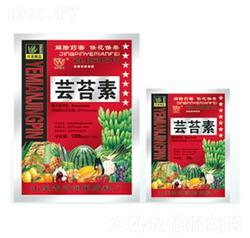 �|̦��-��(r��n)�����