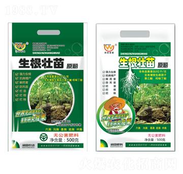 ��������ԭ��-��(r��n)�����