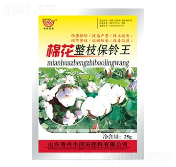 �޻���֦���?f��)?��(r��n)�����