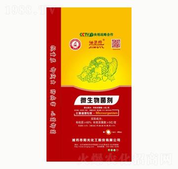 ΢�������-�(y��ng)�⻯��