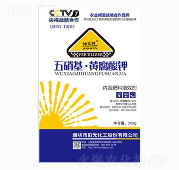 �������S�����-�(y��ng)�⻯