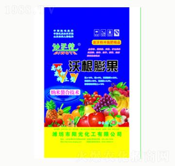 �ָ����-�(y��ng)�⻯��