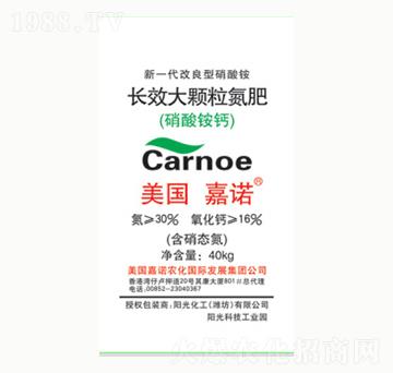 �L(zh��ng)Ч���w������-�(y��ng)�⻯