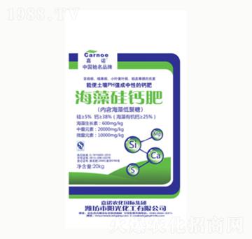 ������}��-�(y��ng)�⻯��