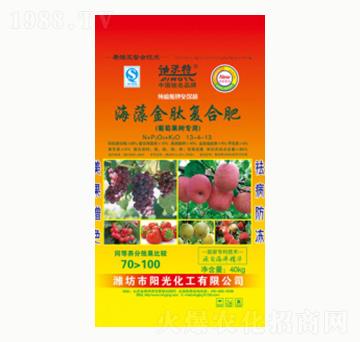 ������ď�(f��)�Ϸ�-�(y��ng)�⻯