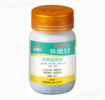 ��Ȼ������-�����\-�������