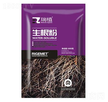 ������-��ֲ������-���w�~��