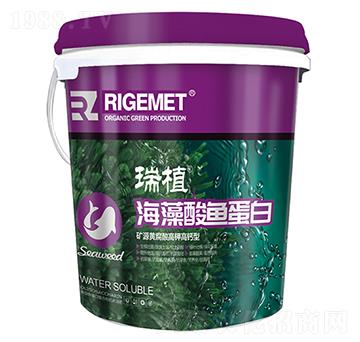 �������~����-��ֲ-���w�~��