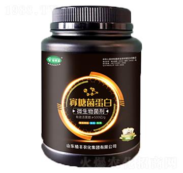 ���Ǿ�����-ֲ�S�r��