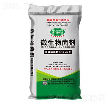 10�|΢�������-ֲ�S�r��