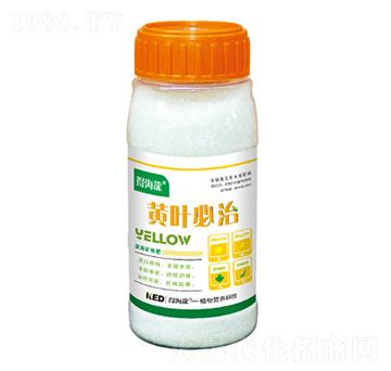 黃葉必治-得海龍-康恩地