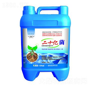 ��ʮ�|��΢�������-�ú���-������