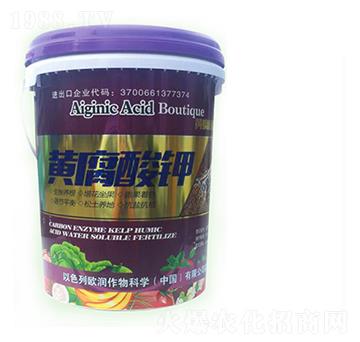 �S�����-������