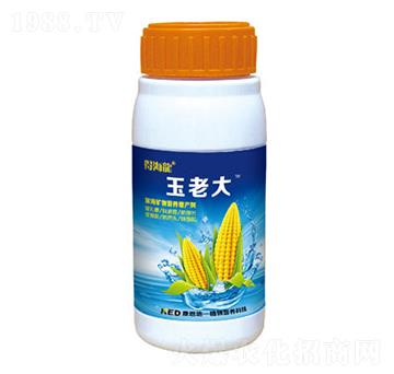 玉米田葉面噴肥肥-玉老大-康恩地