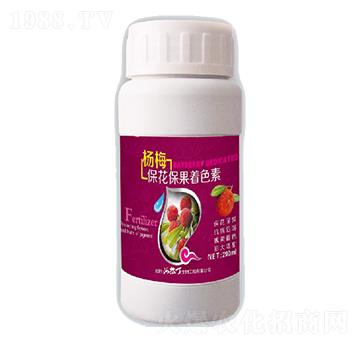 ��÷����������ɫ��-��