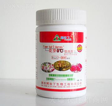 ��ѿ������-������