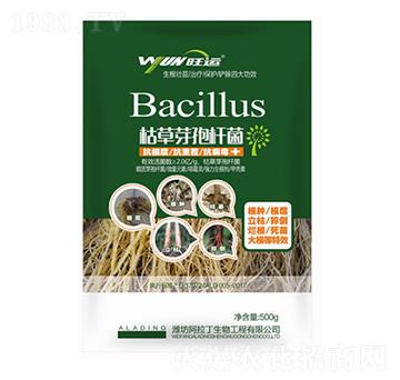 �ݲ�ѿ�ߗU��-������