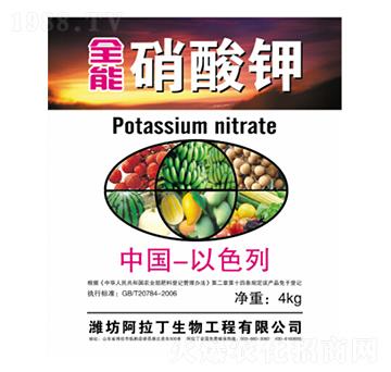 ȫ�������-������