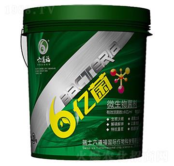 ΢�������-���|��-������