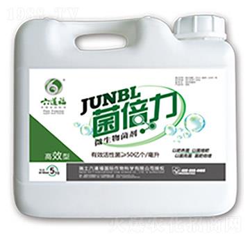 ΢�������-������-������