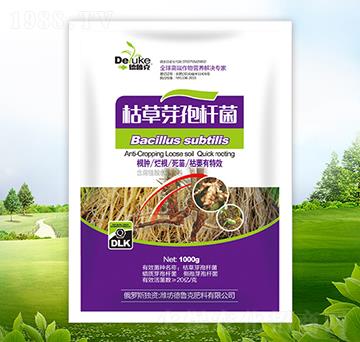 1000g�ݲ�ѿ�ߗU��