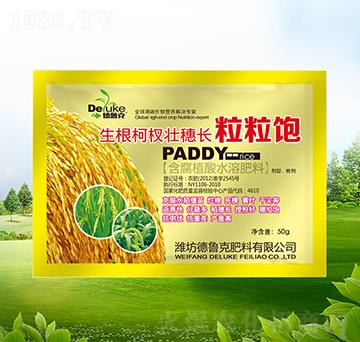 ������(qu��n)�����L(zh��ng)�����-