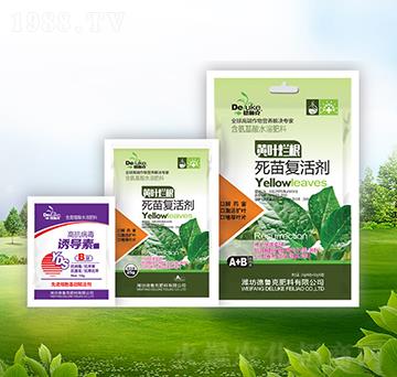 �S�~���������(f��)�+�T