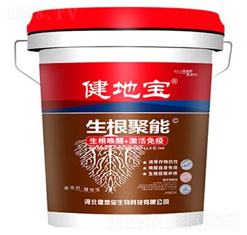 ��������-���،�