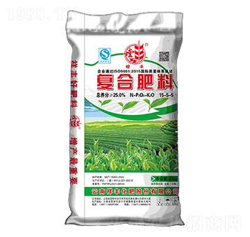 �ͺϷ���15-5-5-