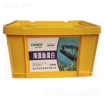 �����~����-����ʘI(y��)