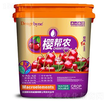 �ю��r-����ʘI(y��)