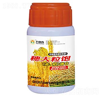 60ml穗大粒飽小麥水稻滿倉-萬物春