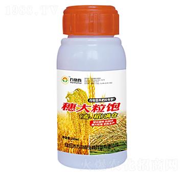 100ml穗大粒飽小麥水稻滿(mǎn)倉(cāng)-萬(wàn)物春